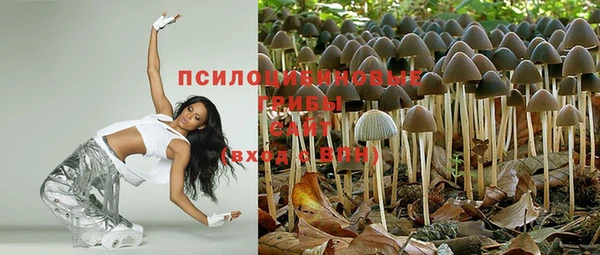 альфа пвп Армянск