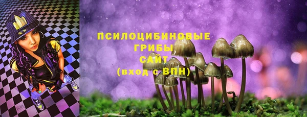 альфа пвп Армянск