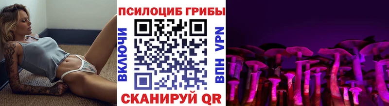 Галлюциногенные грибы Psilocybine cubensis  наркота  Новоаннинский 